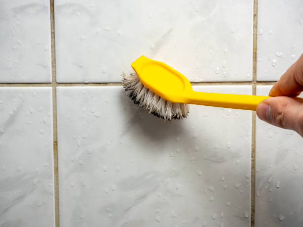 Best Mold Remediation  in Dallas, GA