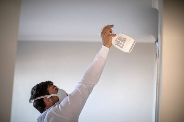Home Mold Removal in Dallas, GA